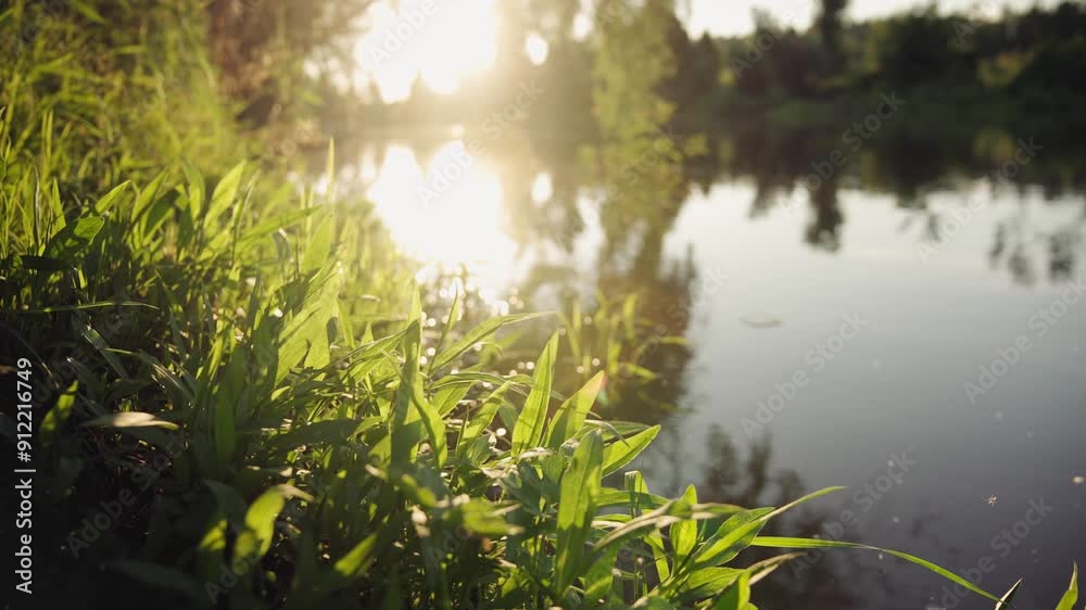 Beautiful sunset on the river on a summer day.