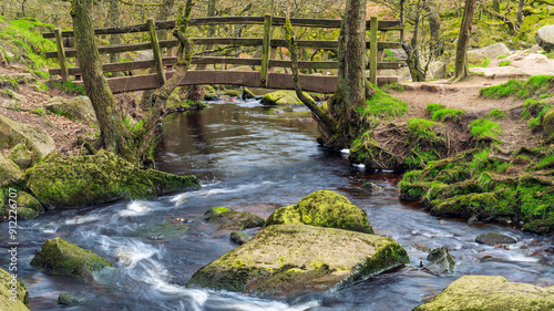 small river in the forest, Padley Gorge