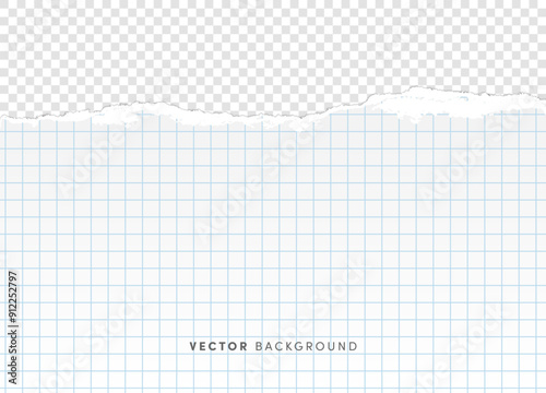 Torn squared paper vector background. Horizontal empty ripped sheet of paper with squares, school notebook page for banner, decoration, design template.
