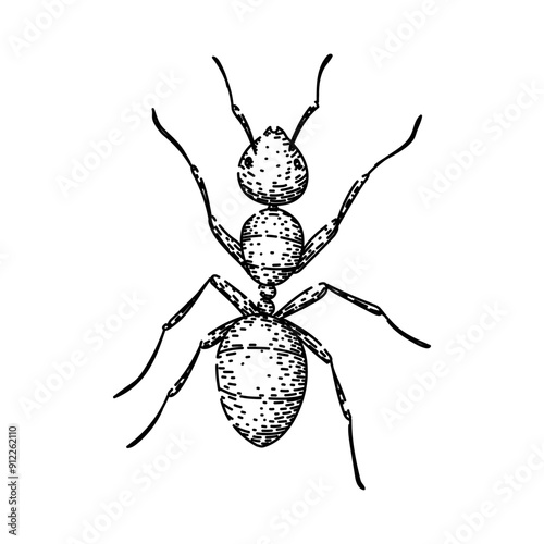 nest ant hand drawn. foraging insect, antennae mandibles, thorax abdomen nest ant vector sketch. isolated black illustration