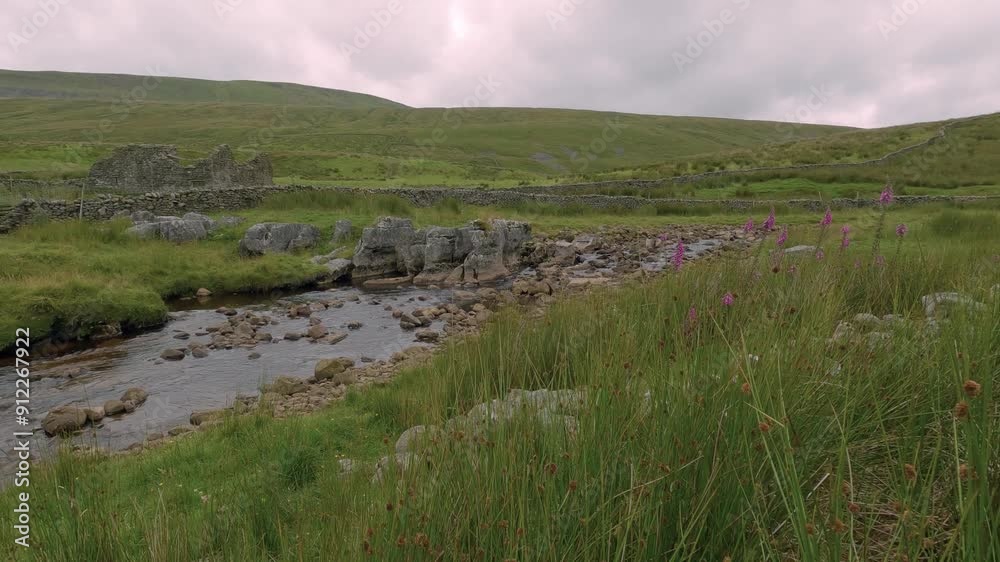 Creek near tall grass field and wild flowers in North Yorkshire, England countryside Creek near tall grass field and wild flowers in North Yorkshire, England countryside