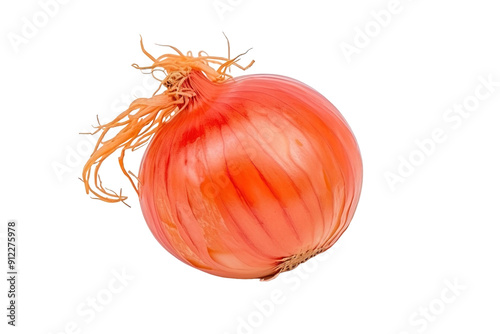 A Single Red Onion With Its Roots Intact, Isolated on a White Background on a White or Clear Surface PNG Transparent Background.
