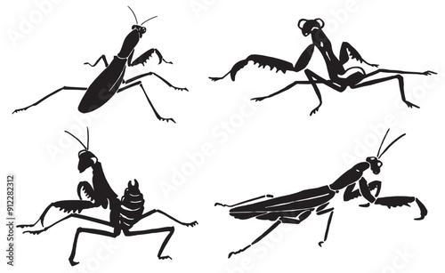 Graphical set of mantis isolated on white background, vector illustration. Insects black silhouettes	