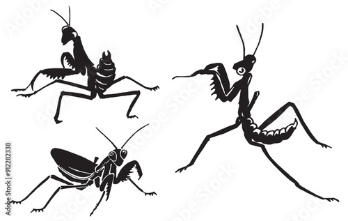Graphical set of mantis isolated on white background, vector illustration. Insects black silhouettes	