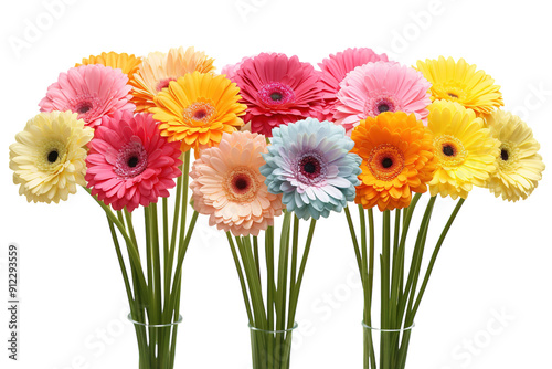 A Rainbow of Gerbera Daisies in Glass Vases on a White or Clear Surface PNG Transparent Background.