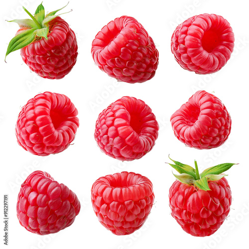 Raspberry Collection Isolated on Transparent Background