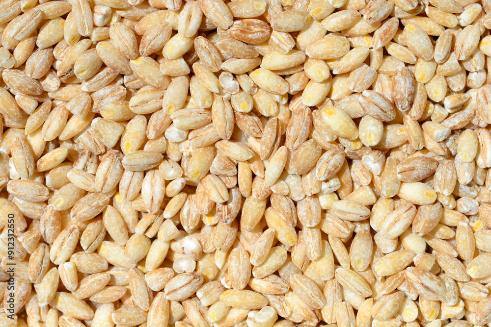Detail of a surface covered with uncooked barley