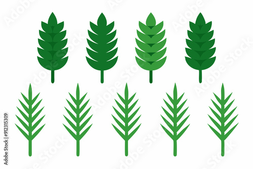 Set of 9pes different type of Pine leaf set art vector illustration