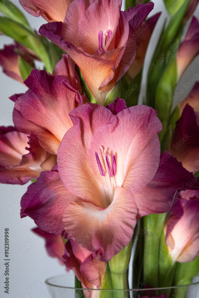 Fototapeta premium Gladioli flowers in a vase in a kitchen, close up