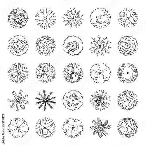 top view of tree illustration isolated on white background.