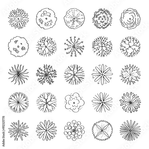 top view of tree illustration isolated on white background.