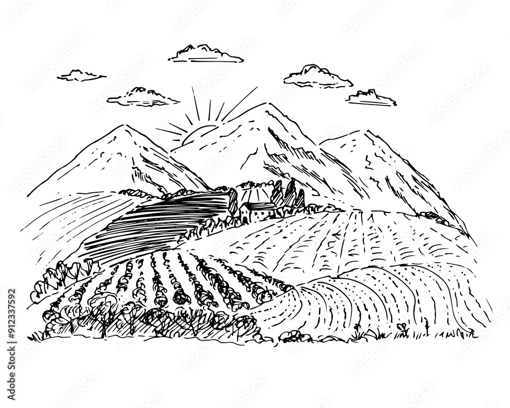 Naklejka premium Rural landscape with fields, vineyards.