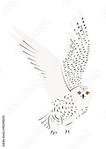 White Polar owl flying, hand drawn in flat design majestic bird. Isolated on white background vector illustration