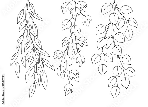 Liana set graphic black white isolated sketch illustration vector