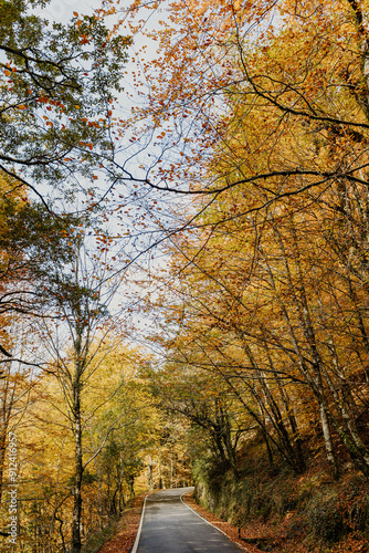 road in autumn