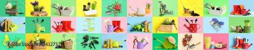 Group of gardening supplies and plants on color background photo