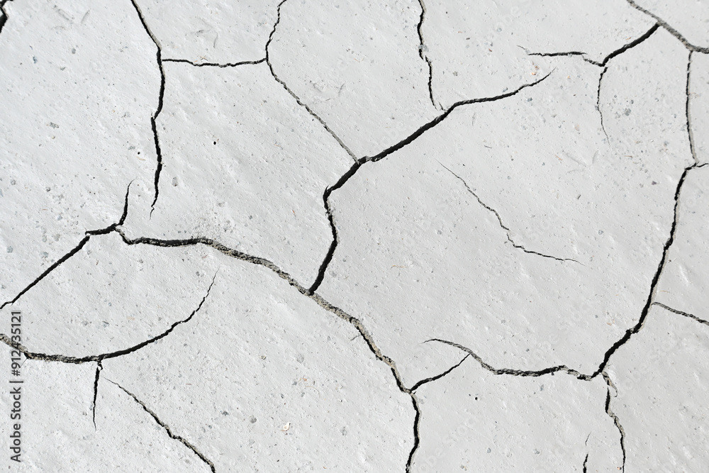 Obraz premium Cracked earth background texture