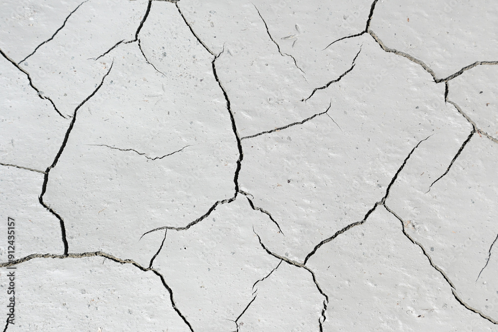 Obraz premium Cracked earth background texture