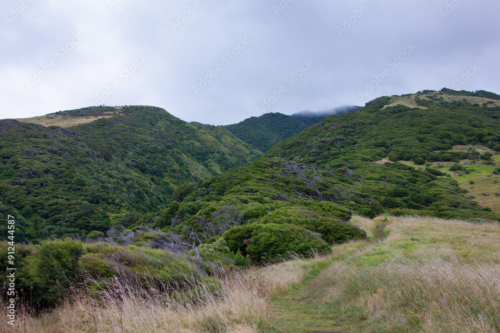 Breathtaking view over Te Toto Gorge Lookout and Mt Kariori on an overcast summer day. High vantage point. Raglan Waikato Breathtaking view over Te Toto Gorge Lookout and Mt Kariori on an overcast summer day. High vantage point. Raglan Waikato