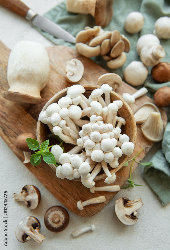 Assortment of various raw mushrooms on gray concrete background. Assortment of various raw mushrooms on gray concrete background.