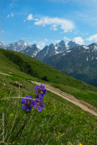 Magnificent mountains to trek in Mestia. Blooming mountain views in snowy weather in Mestia Georgia. Magnificent Mestia mountain views. Koruldi Lake trekking route. photo