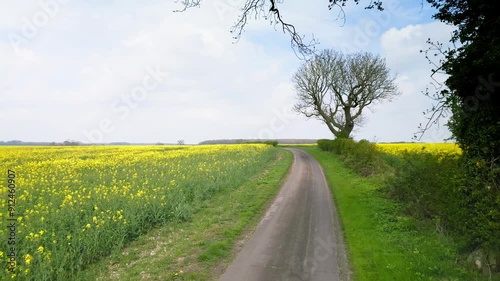 Yellow rapeseed blooms in the Lincolnshire Wolds sway in the spring breeze, seen from above with farmland and trails.