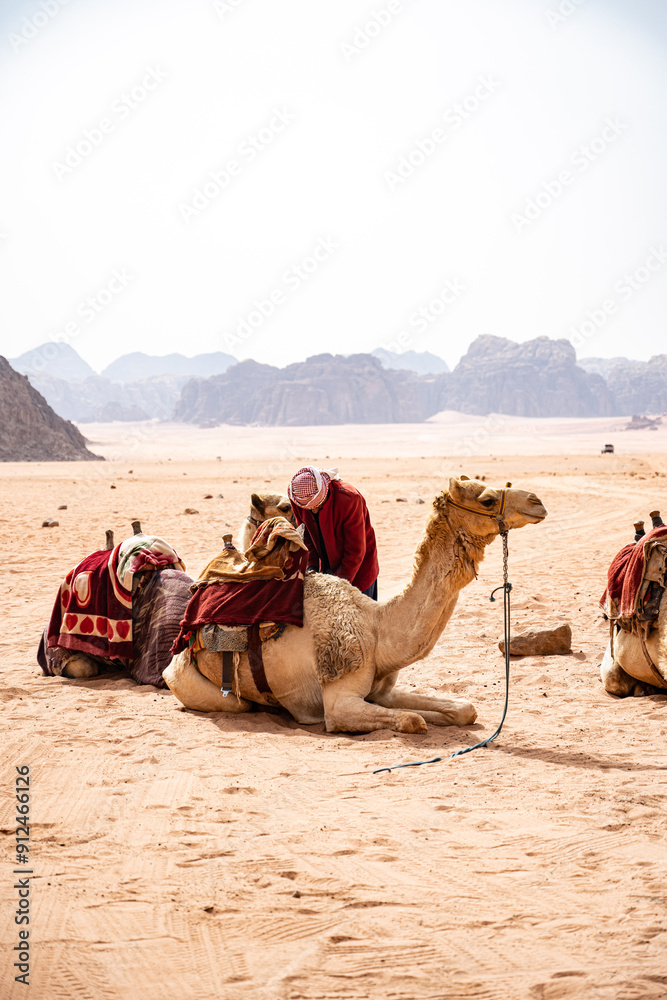 Fototapeta premium A bedouin with a camel in the desert of Wadi Rum in Jordan