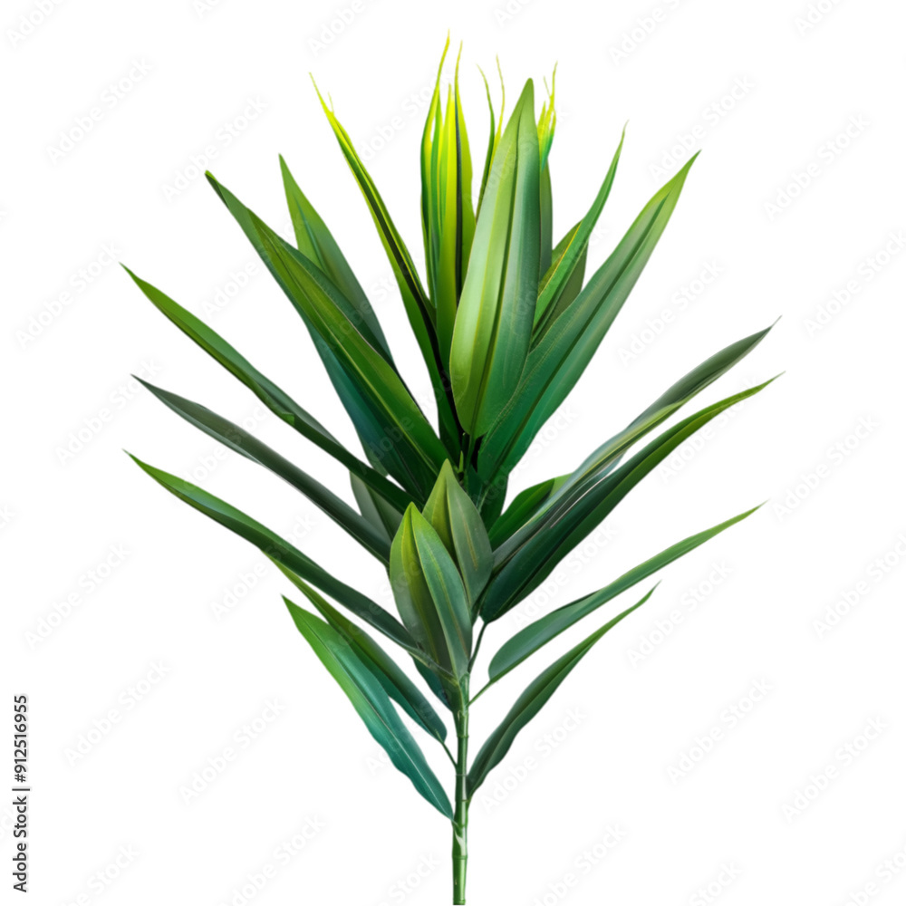 Fototapeta premium A close-up image of a vibrant green tropical leaf branch isolated on a black background.