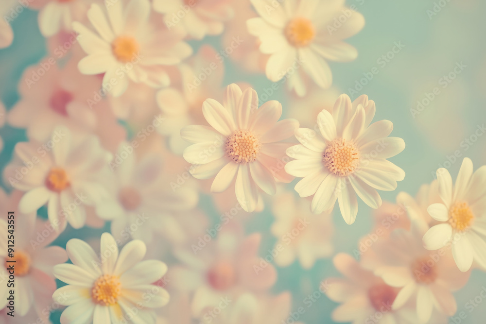 Obraz premium Vintage fade photo of a bouquet of daisies, wallpaper or banner design