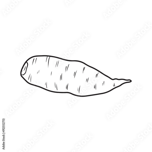 Whole sweet potato Ipomoea batatas unpeeled in black isolated on white background. Hand drawn vector sketch illustration in doodle engraved vintage line art style. Superfood, tasty vegetable