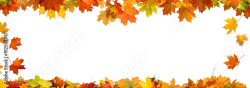 Autumn falling maple leaves  frame