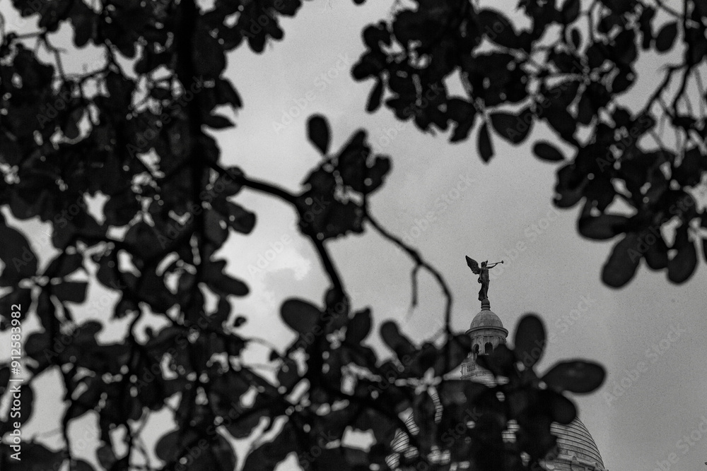 Naklejka premium silhouette of a tree with leaves