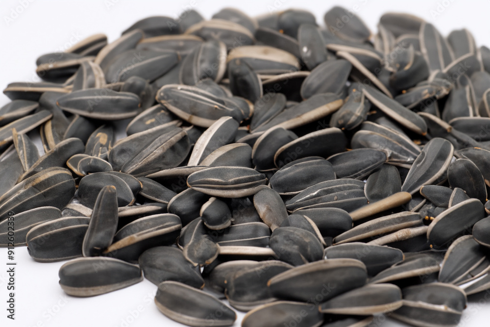 Sunflower seeds on a white. Organic food snack concept. Sunflower seeds in white on a. Sunflower seeds in and white on a lifestyle of mountains. Sunflower seeds on a white. Organic food snack concept. Sunflower seeds in white on a. Sunflower seeds in and white on a lifestyle of mountains.