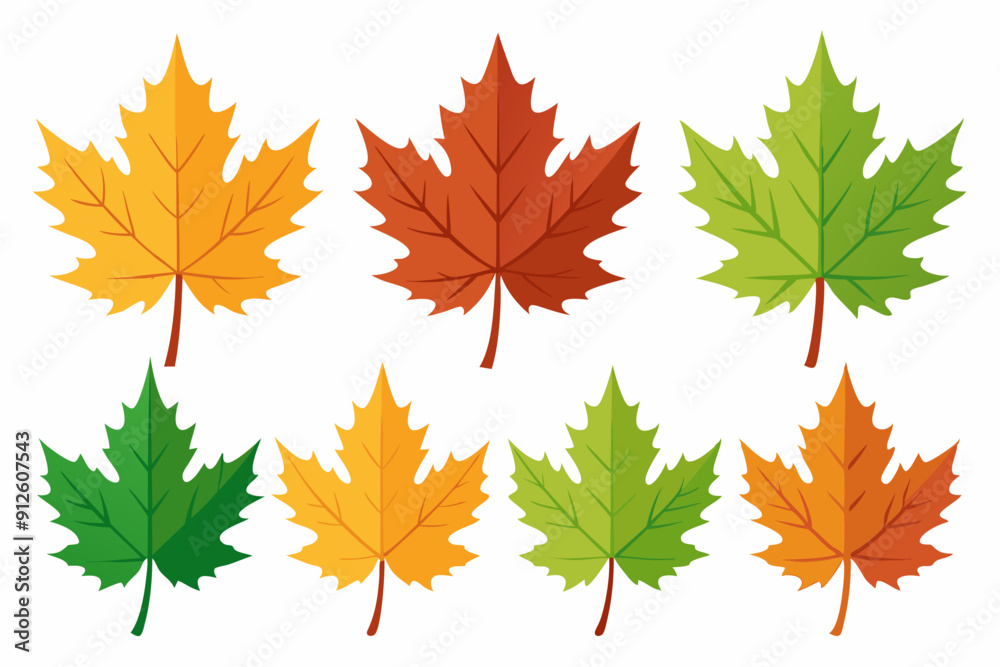 Maple leaf setart vector illustration Maple leaf setart vector illustration