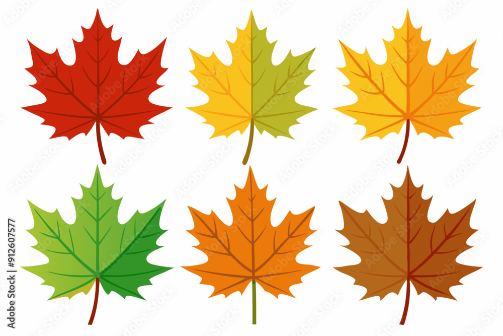 Maple leaf setart vector illustration Maple leaf setart vector illustration