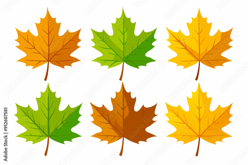 Maple leaf setart vector illustration