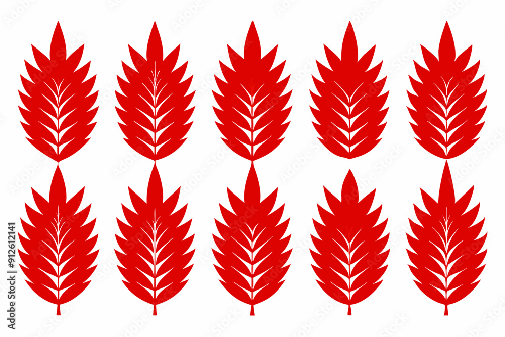 Fototapeta premium Set of 9pes different type of Western Red Cedar leaf art vector illustration
