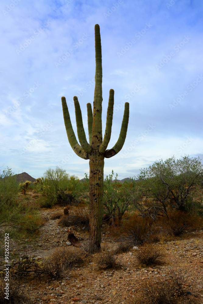 San Tan Mountains Sonora Desert Arizona San Tan Mountains Sonora Desert Arizona