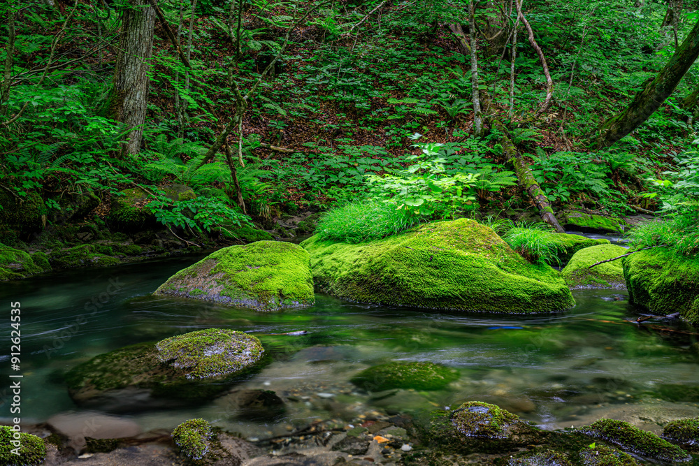 Serene Tranquility: A Glimpse into the Emerald Heart of Oirase River, Aomori, Japan Serene Tranquility: A Glimpse into the Emerald Heart of Oirase River, Aomori, Japan