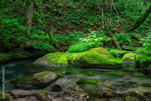  Serene Tranquility: A Glimpse into the Emerald Heart of Oirase River, Aomori, Japan