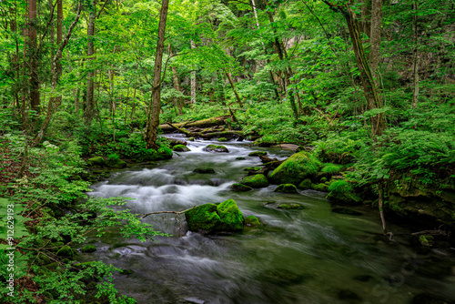 Rushing Waters of Oirase River Amidst Dense Greenery in Japan, Aomori, Japan