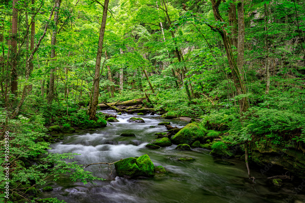 Serene Flow of Oirase River Amidst Lush Greenery in Aomori, Japan Serene Flow of Oirase River Amidst Lush Greenery in Aomori, Japan