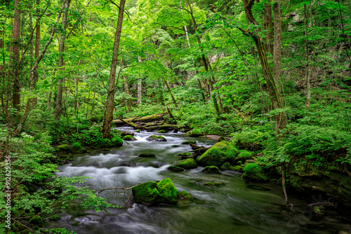 Serene Flow of Oirase River Amidst Lush Greenery in Aomori, Japan