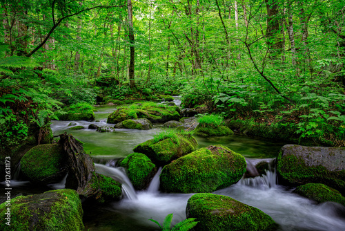 Serene Flow of Oirase River Amidst Lush Greenery in Aomori, Japan