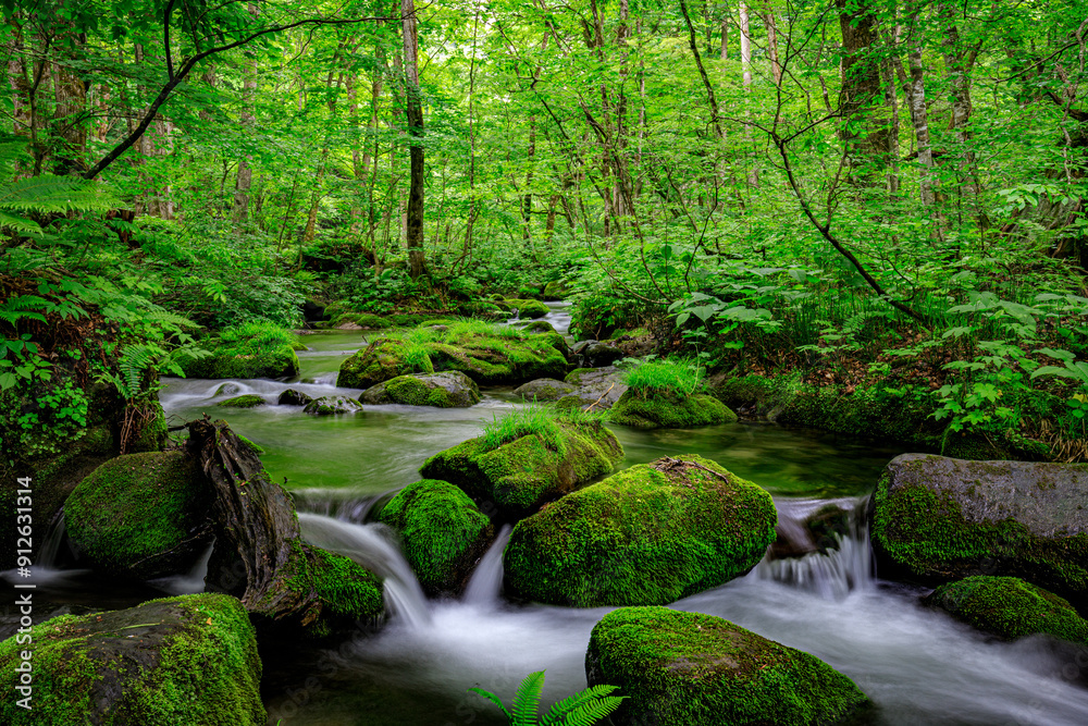 Tranquil Waters of Oirase River Flowing Through Verdant Forest, Aomori, Japan