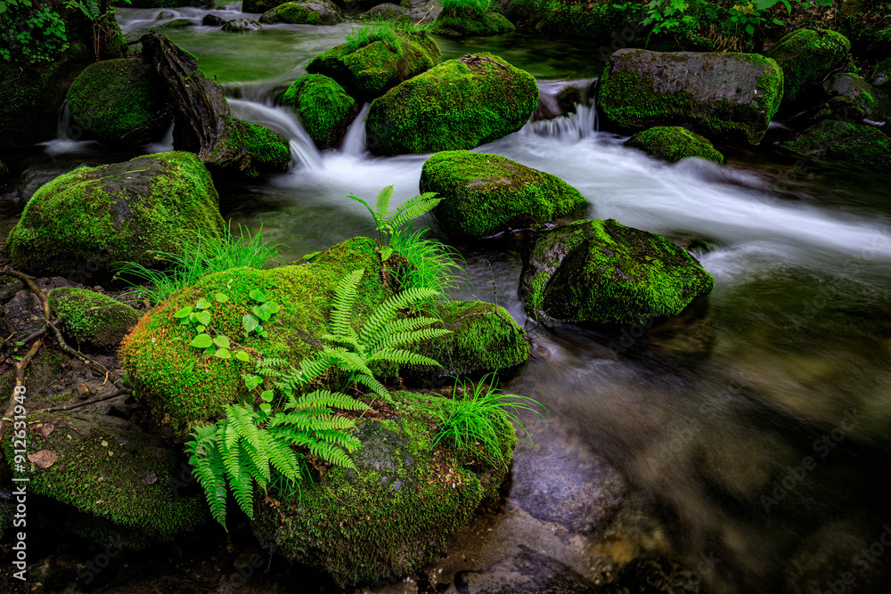 Serene Flow of Oirase River Amidst Lush Greenery in Aomori, Japan Serene Flow of Oirase River Amidst Lush Greenery in Aomori, Japan