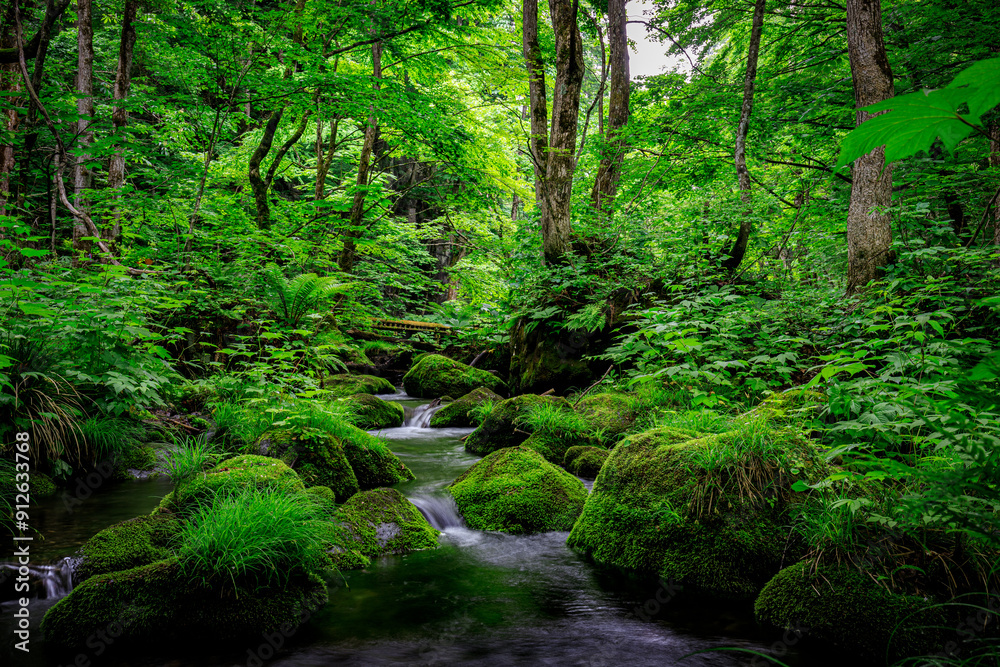 Serene Flow of Oirase River Amidst Lush Greenery in Aomori, Japan Serene Flow of Oirase River Amidst Lush Greenery in Aomori, Japan