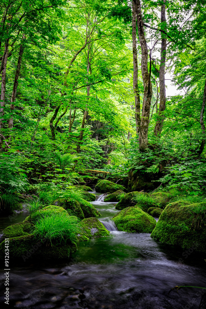 Flowing Waters of Oirase River in Lush Aomori Forest Flowing Waters of Oirase River in Lush Aomori Forest
