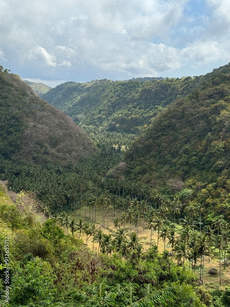 Fototapeta premium landscape of the mountains