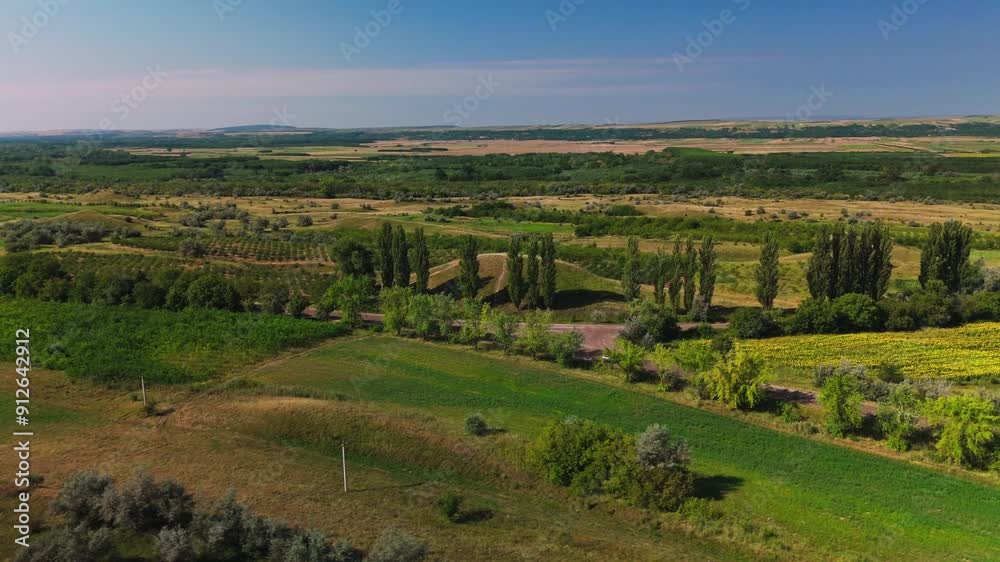 This stunning aerial view highlights lush green fields and trees in a serene, peaceful natural environment This stunning aerial view highlights lush green fields and trees in a serene, peaceful natural environment